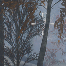 Battlefield V Zoomed-in screenshot with DLSS