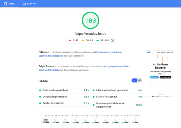 Google PageSpeed Insights score page for mobile devices with 100% score