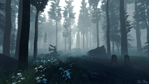 Video game screenshot of forest path, thick atmospheric fog